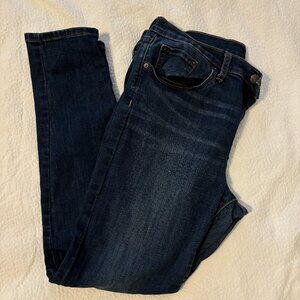 Banana Republic Factory Dark Wash Skinny Jeans